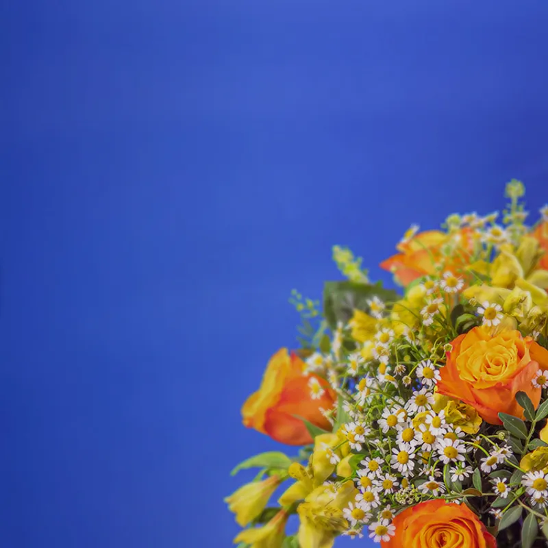 German flower delivery deals